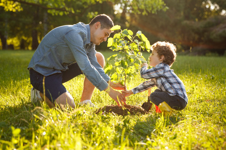 10 Jahre Ökostrom für alle – Stadtwerke Buxtehude ziehen positive Bilanz